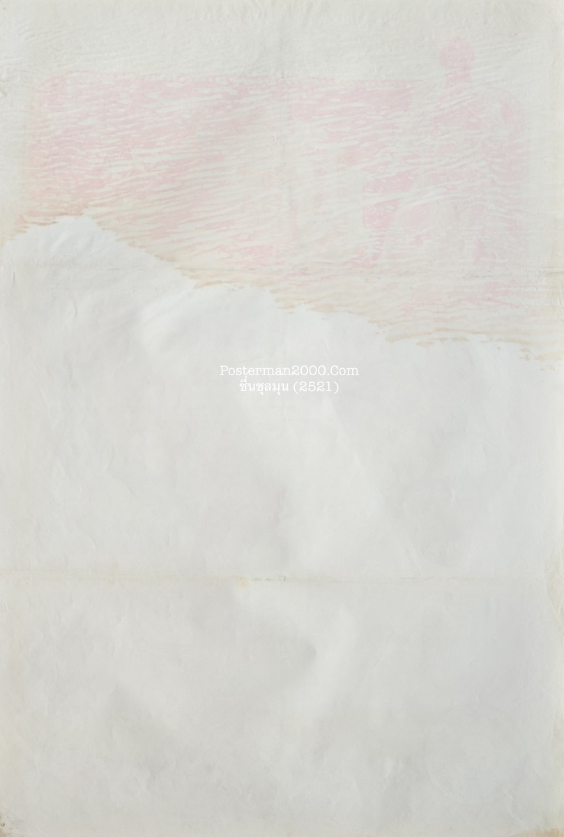 ชื่นชุลมุน_-01