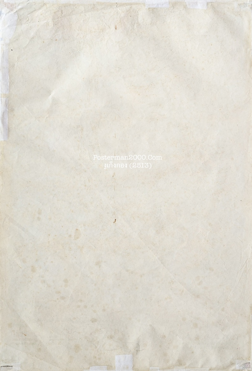 งูเกงกอง_ไทย-01