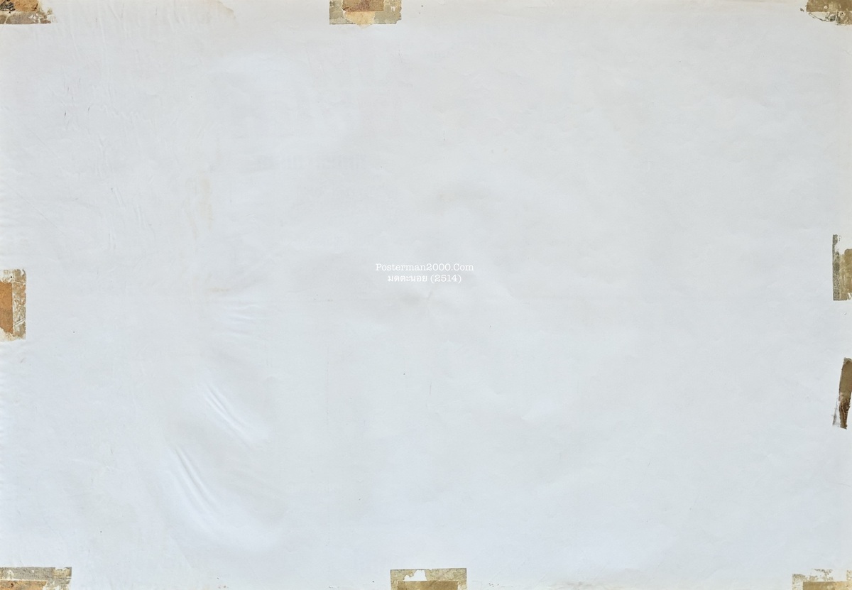 มดตะนอย_-01