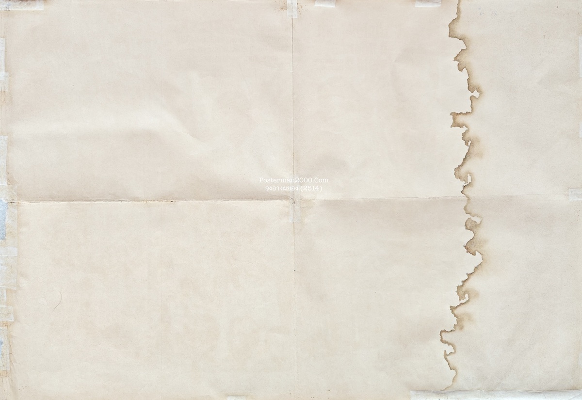 จงอางผยอง_-01